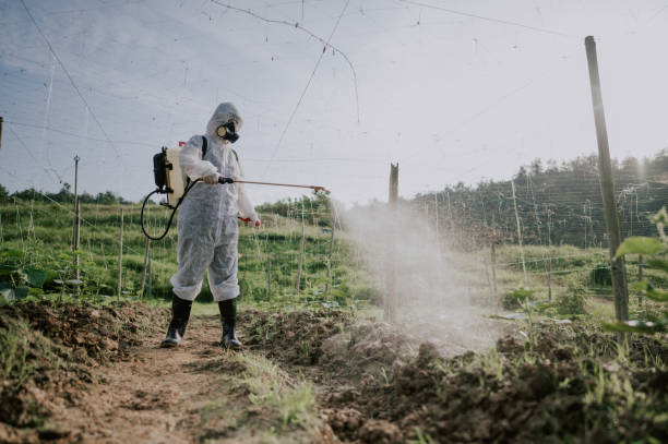 Best Pest Prevention Services  in Somerset, WI