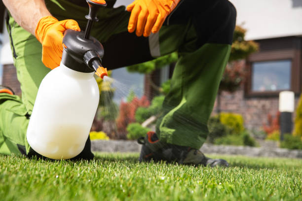Best Best Pest Control Companies  in Somerset, WI