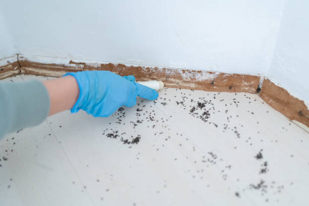 Best Best Pest Control Companies  in Somerset, WI